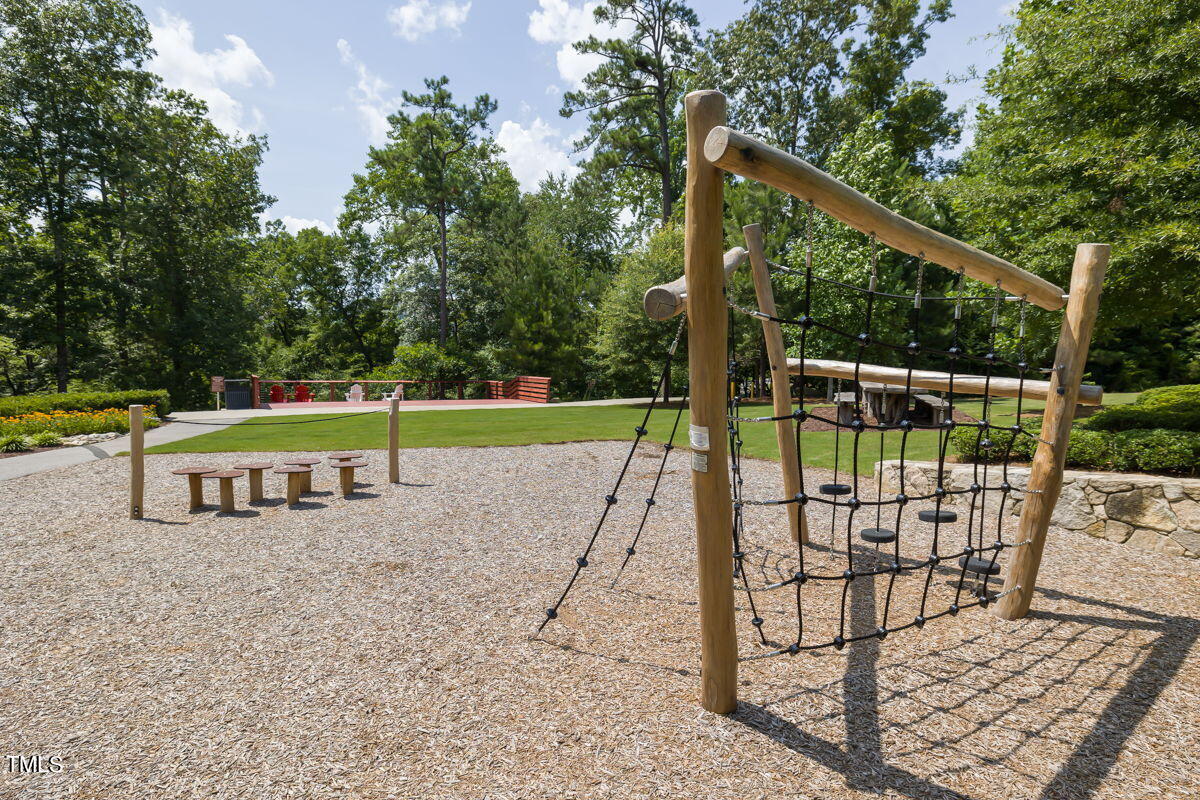 269 Douglas Falls Drive Wendell, NC 27591 - Photo 43 of 51 53-web-or-mls-DX3A3563