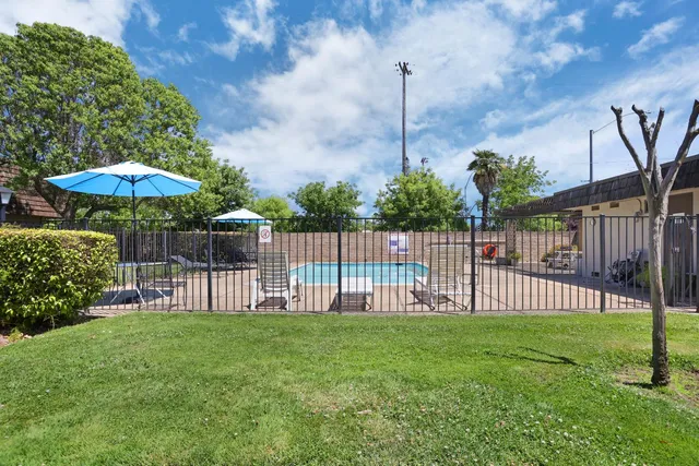 a garden view with a garden