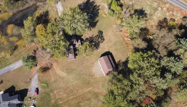 a view of a yard with trees
