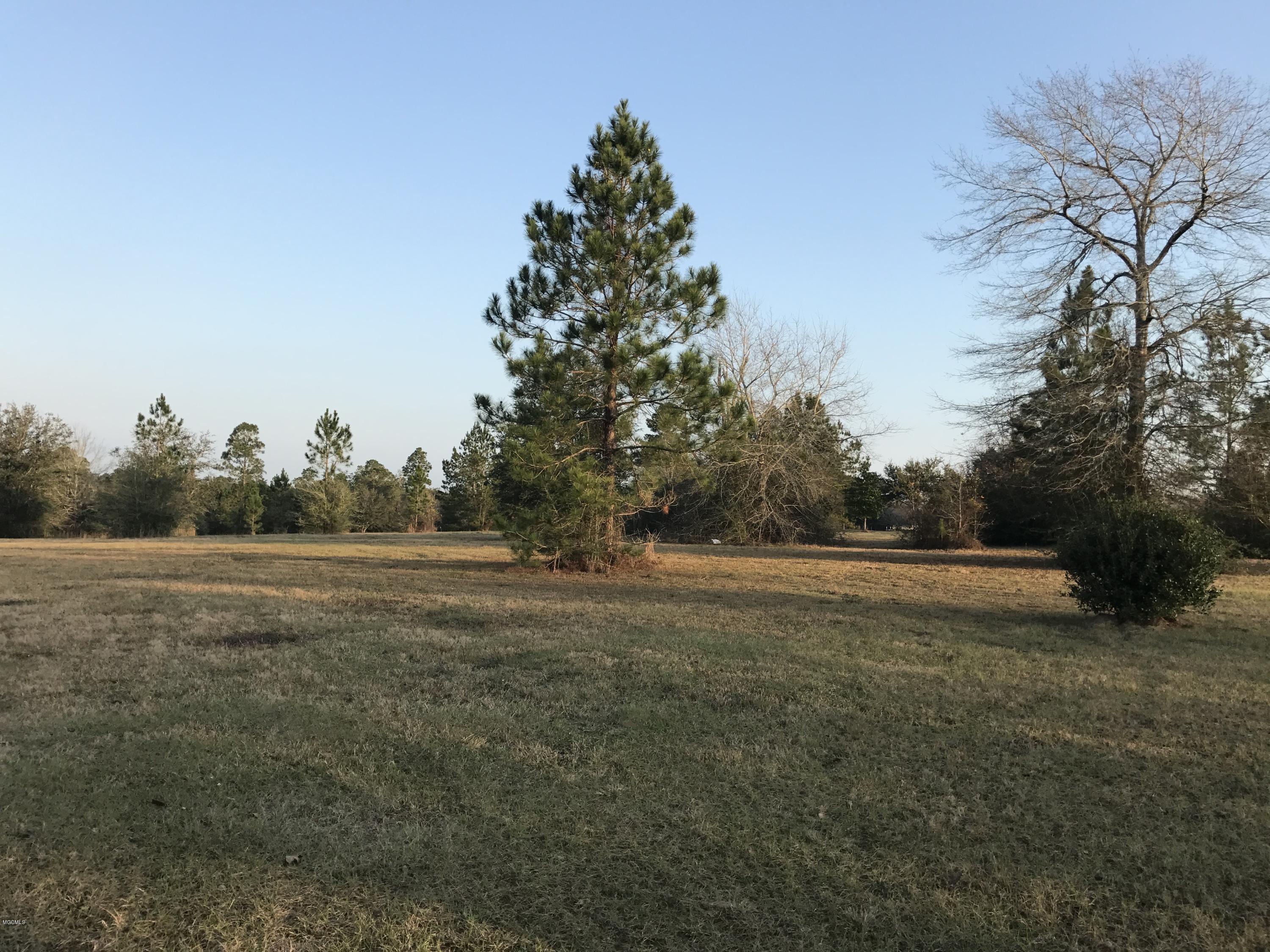0 Ridgewood Road Kiln, MS 39556 - Photo 1 of 5 Ridgewood1