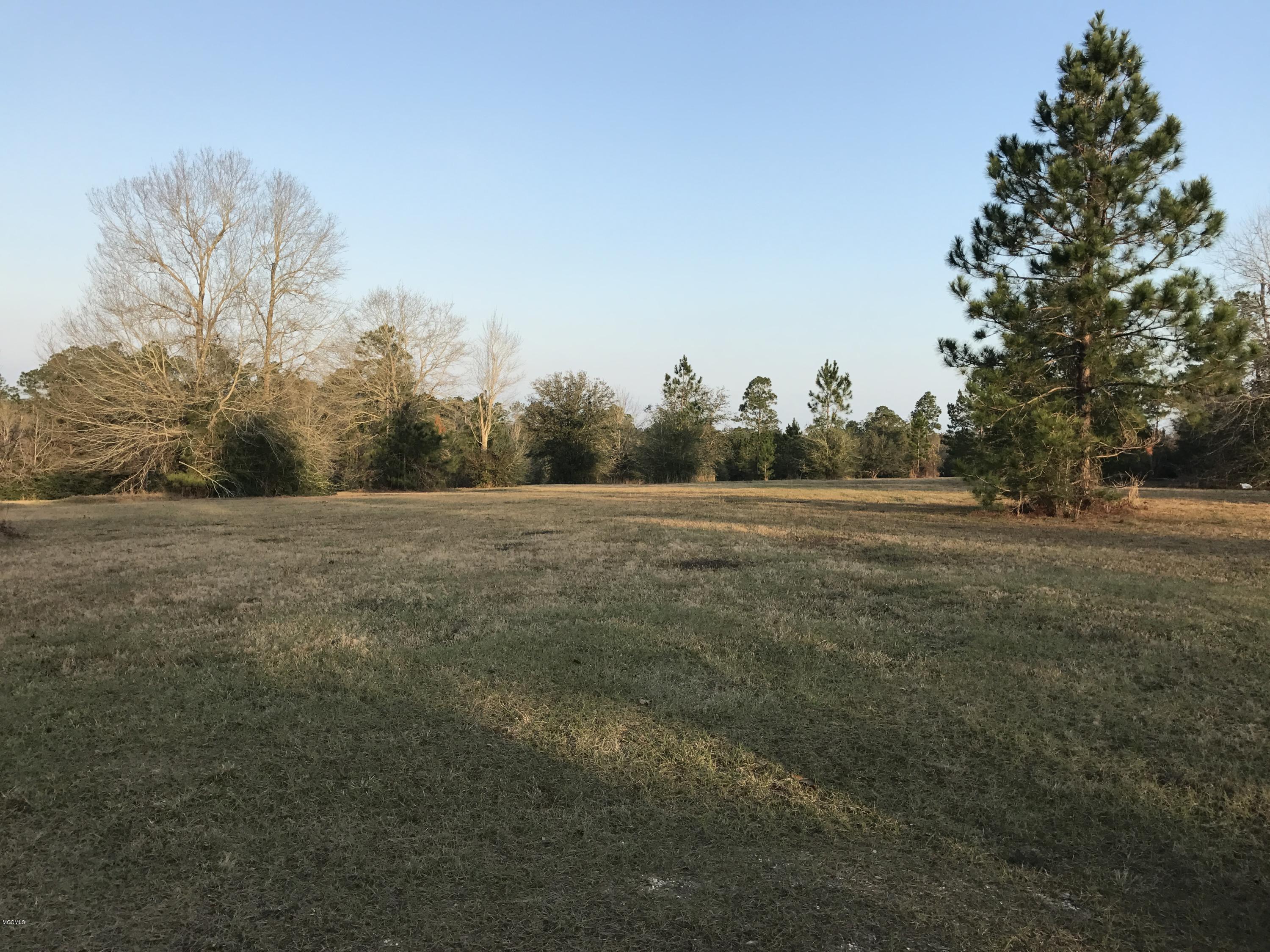 0 Ridgewood Road Kiln, MS 39556 - Photo 2 of 5 Ridgewood2