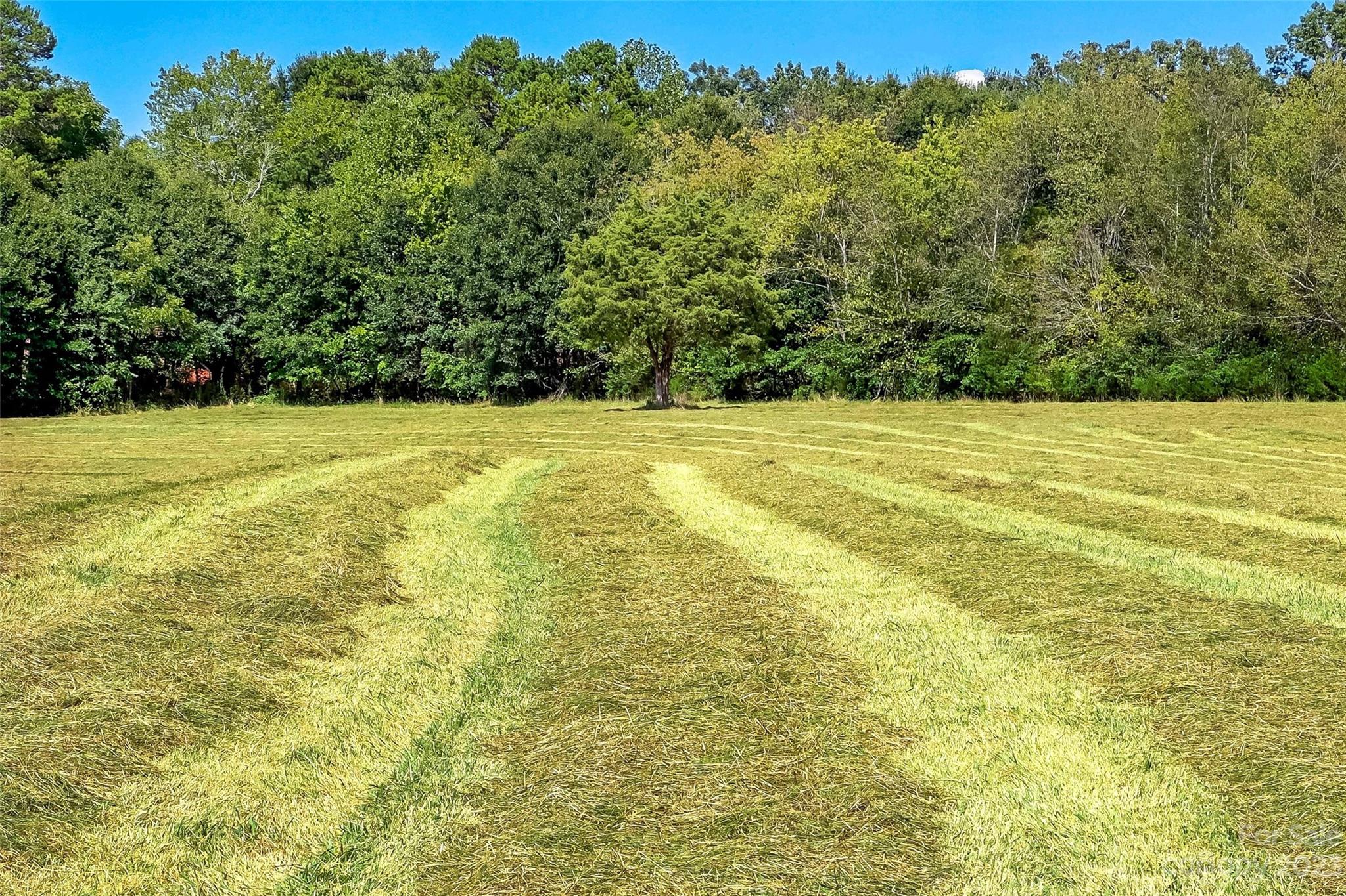 1876 & 1860 Sipe Road Conover, NC 28613 - Photo 42 of 48 Gallery Image 42