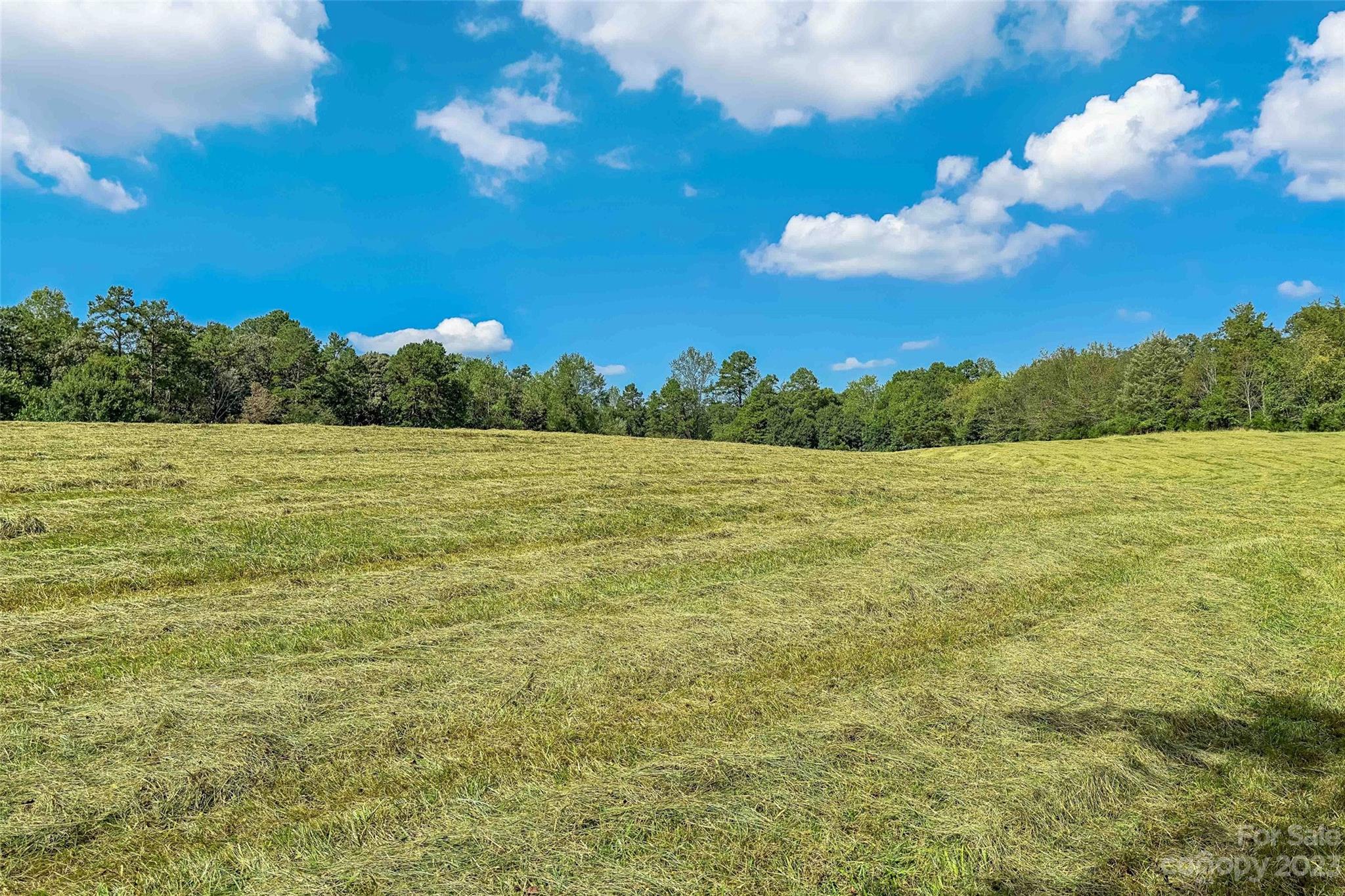 1876 & 1860 Sipe Road Conover, NC 28613 - Photo 45 of 48 Gallery Image 45