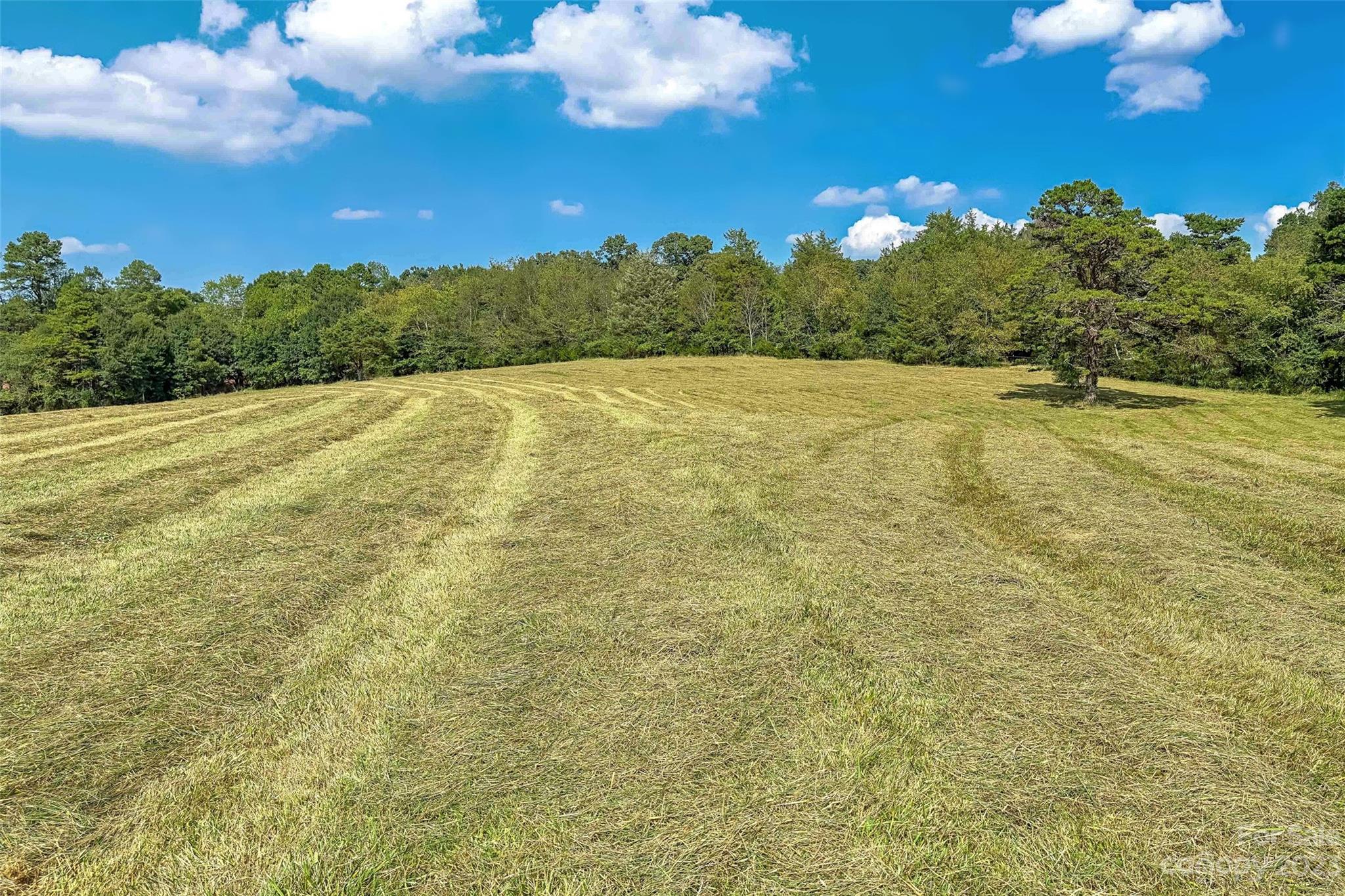 1876 & 1860 Sipe Road Conover, NC 28613 - Photo 46 of 48 Gallery Image 46
