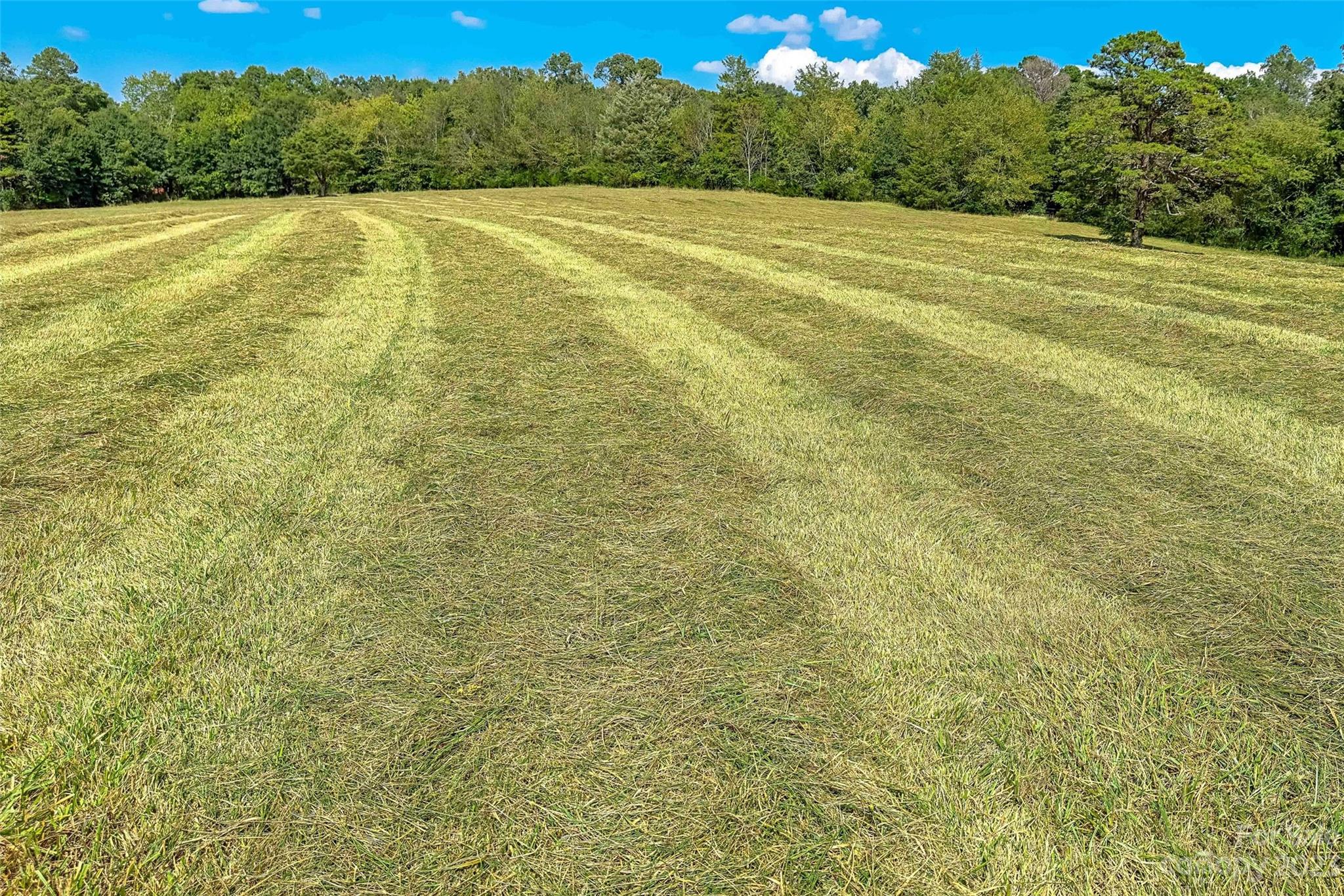 1876 & 1860 Sipe Road Conover, NC 28613 - Photo 47 of 48 Gallery Image 47