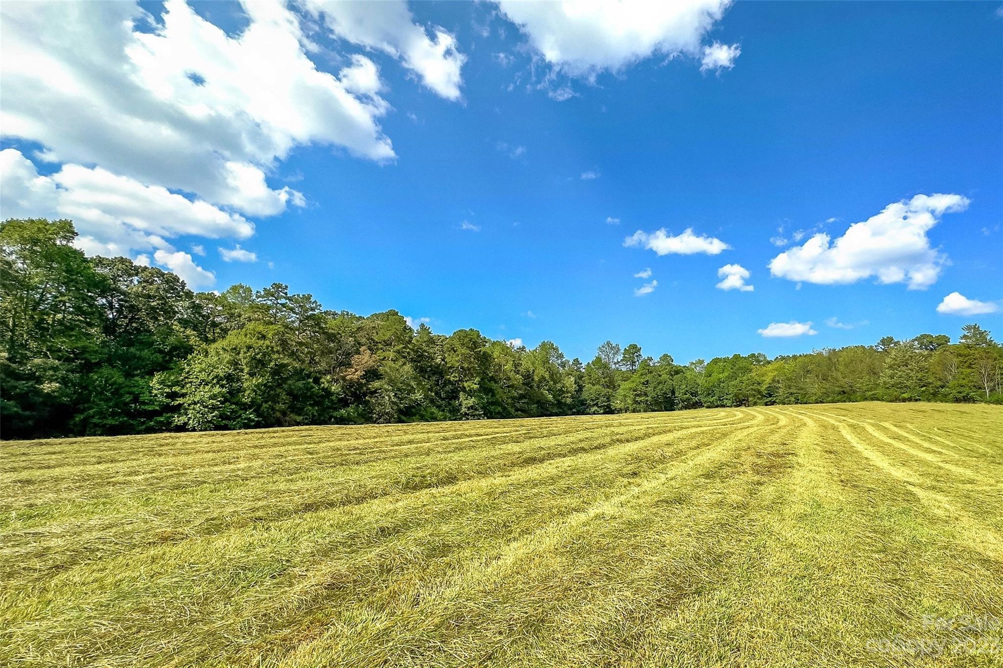 1876 & 1860 Sipe Road Conover, NC 28613 - Photo 48 of 48 Gallery Image 48