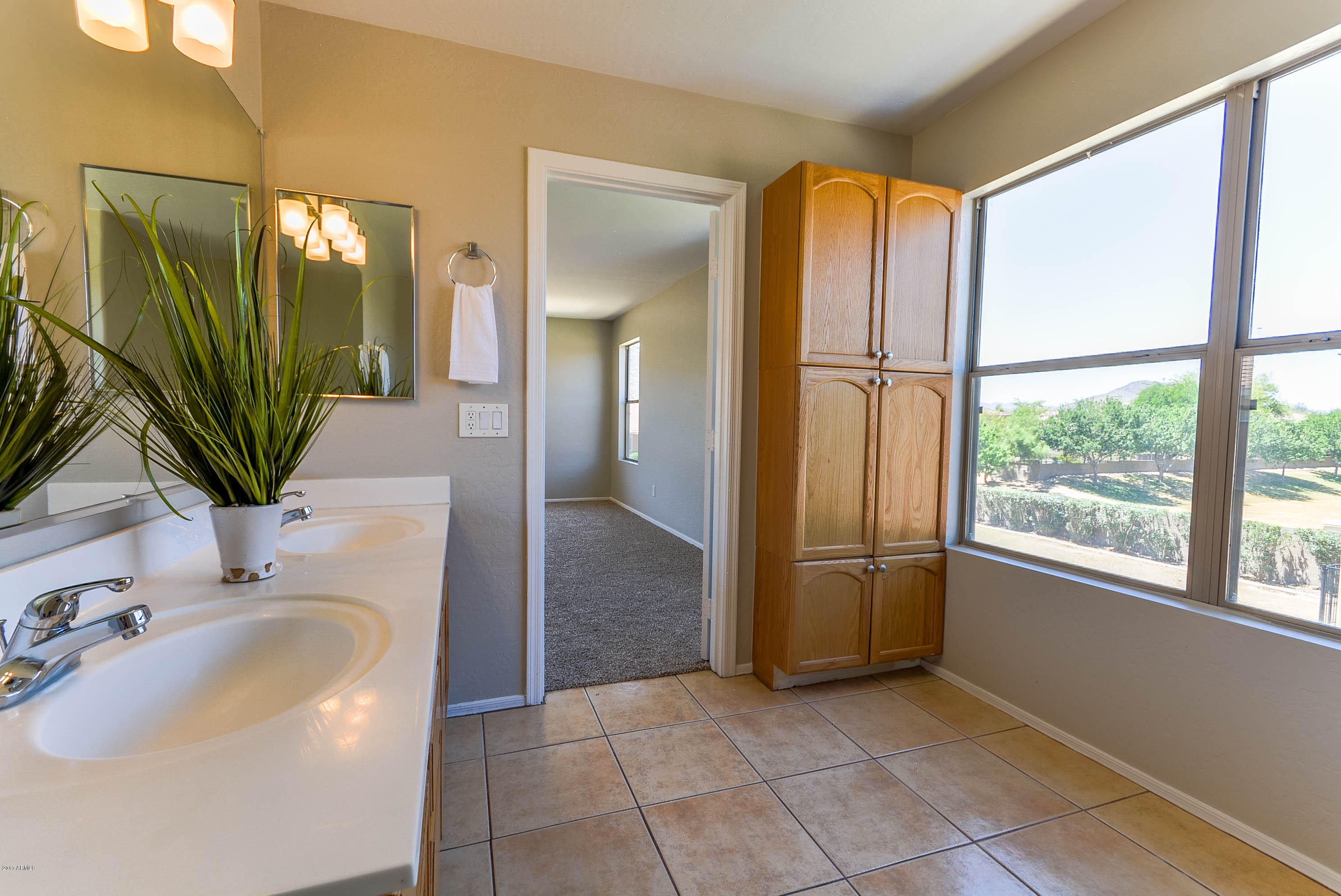 1317 East Pedro Road Phoenix, AZ 85042 - Photo 39 of 51 DSC_0212-HDR