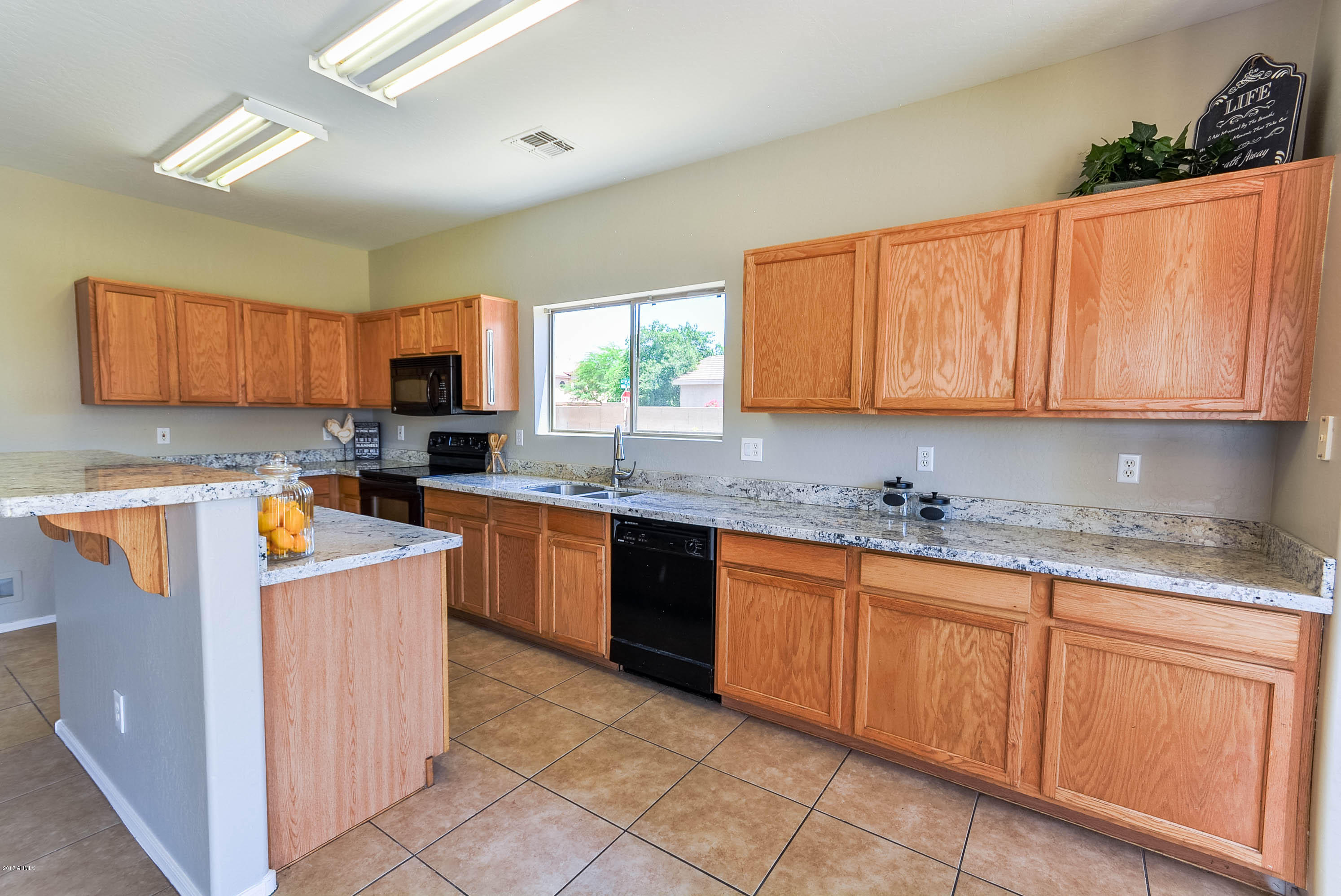 1317 East Pedro Road Phoenix, AZ 85042 - Photo 10 of 51 DSC_0235-HDR