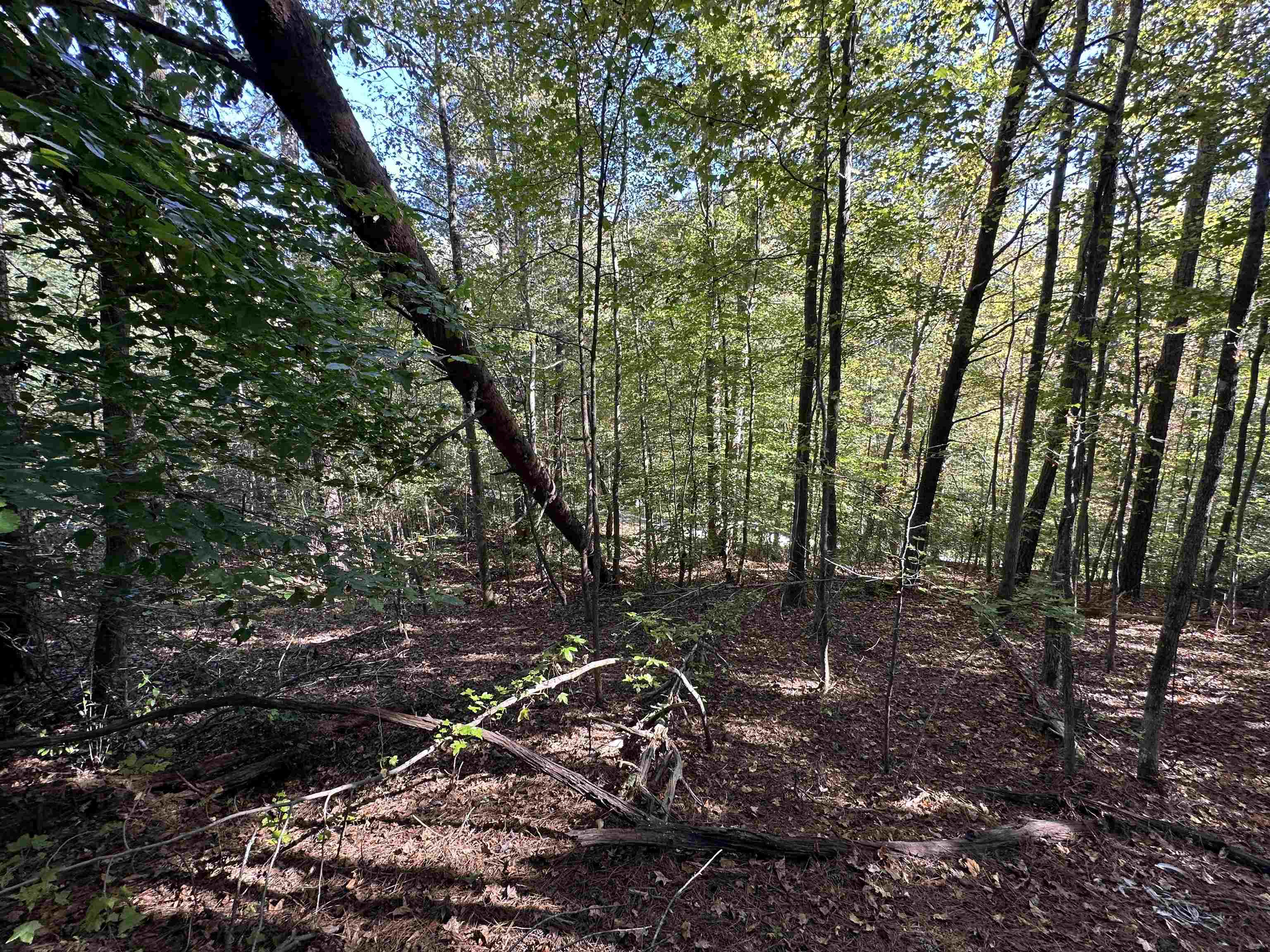 0 Hammett Grove Road Spartanburg, SC 29307 - Photo 3 of 4