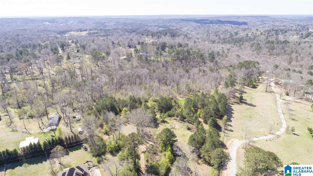 850 Rosemary Way Mount Olive, AL 35117 - Photo 12 of 12
