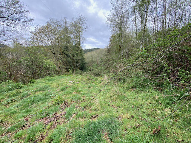 109 Trask River Road Tillamook, OR 97141 - Photo 6 of 21 IMG_7982