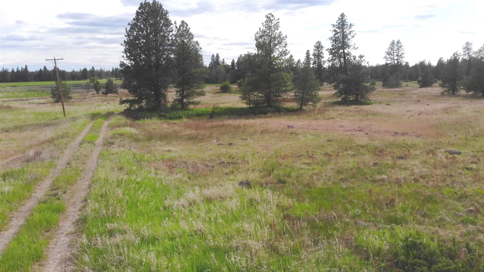 150-xx South Stentz Road Spangle, WA 99031 - Photo 12 of 21