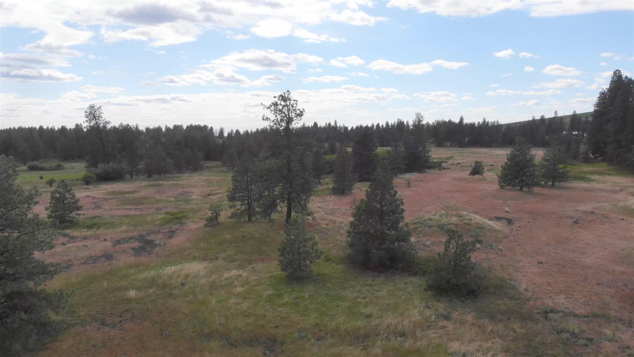 150-xx South Stentz Road Spangle, WA 99031 - Photo 15 of 21