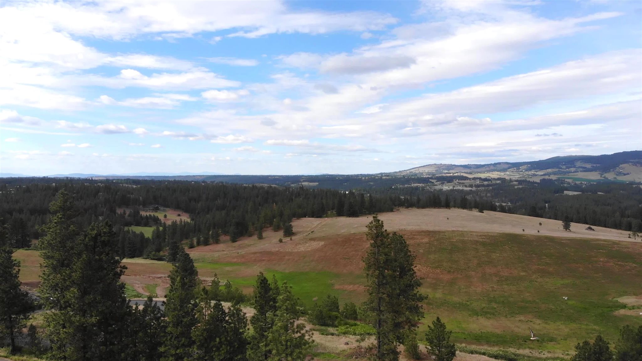 150-xx South Stentz Road Spangle, WA 99031 - Photo 18 of 21