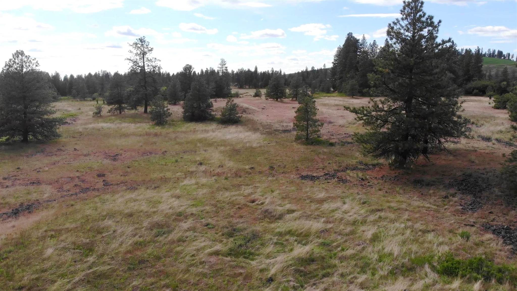 150-xx South Stentz Road Spangle, WA 99031 - Photo 20 of 21