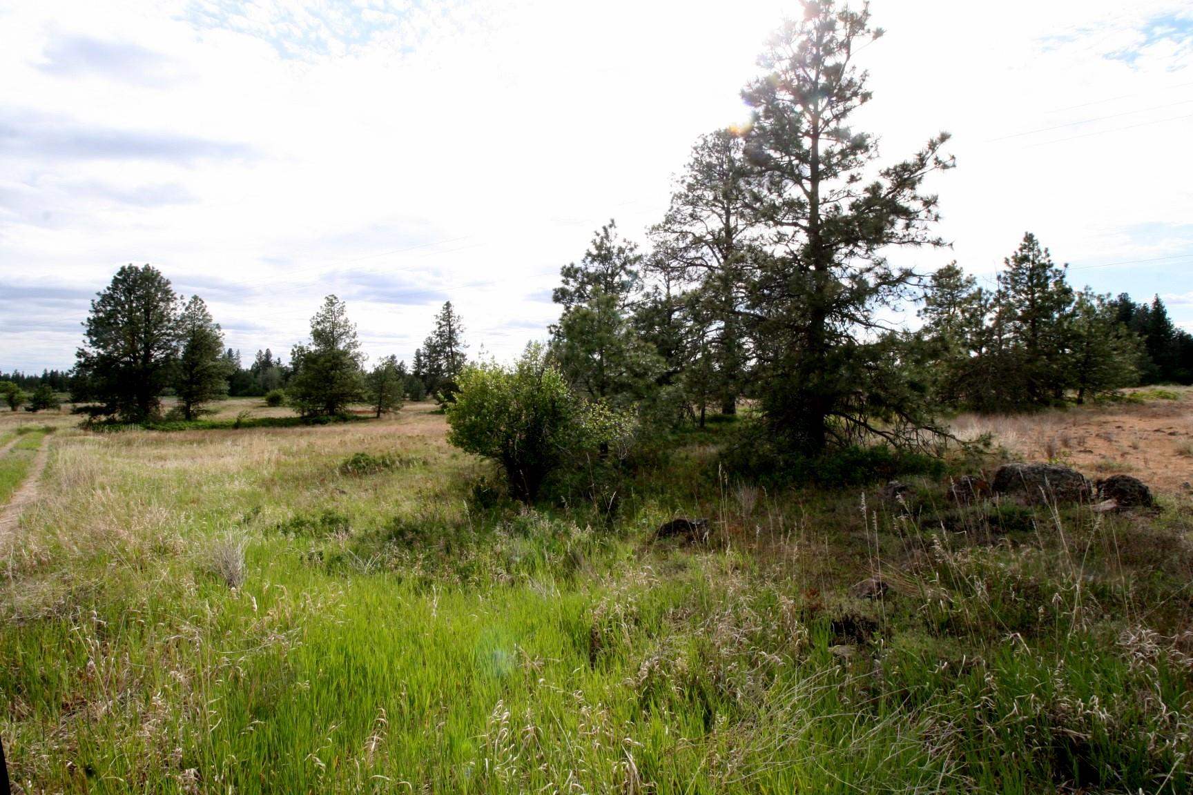 150-xx South Stentz Road Spangle, WA 99031 - Photo 4 of 21