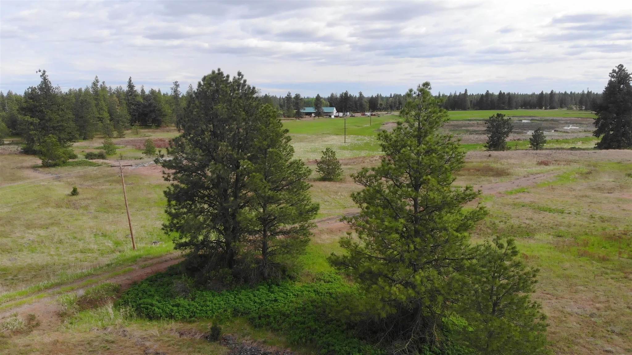 150-xx South Stentz Road Spangle, WA 99031 - Photo 5 of 21