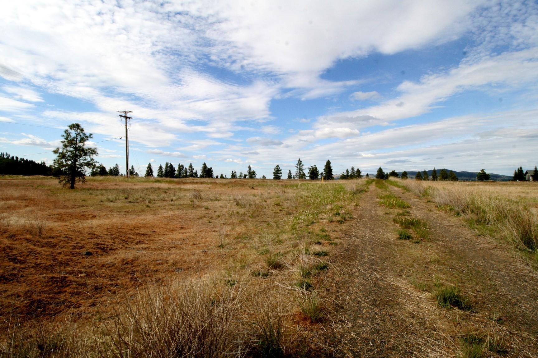 150-xx South Stentz Road Spangle, WA 99031 - Photo 9 of 21