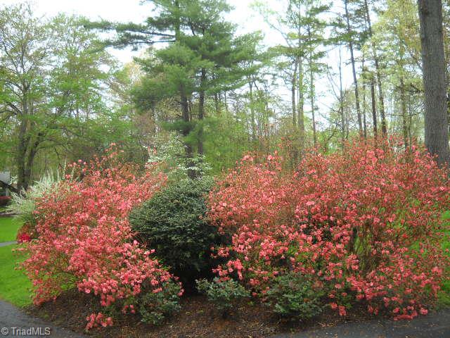 4375 Rustic Road Northwest Winston-Salem, NC 27106 - Photo 14 of 17 Gallery Image 14