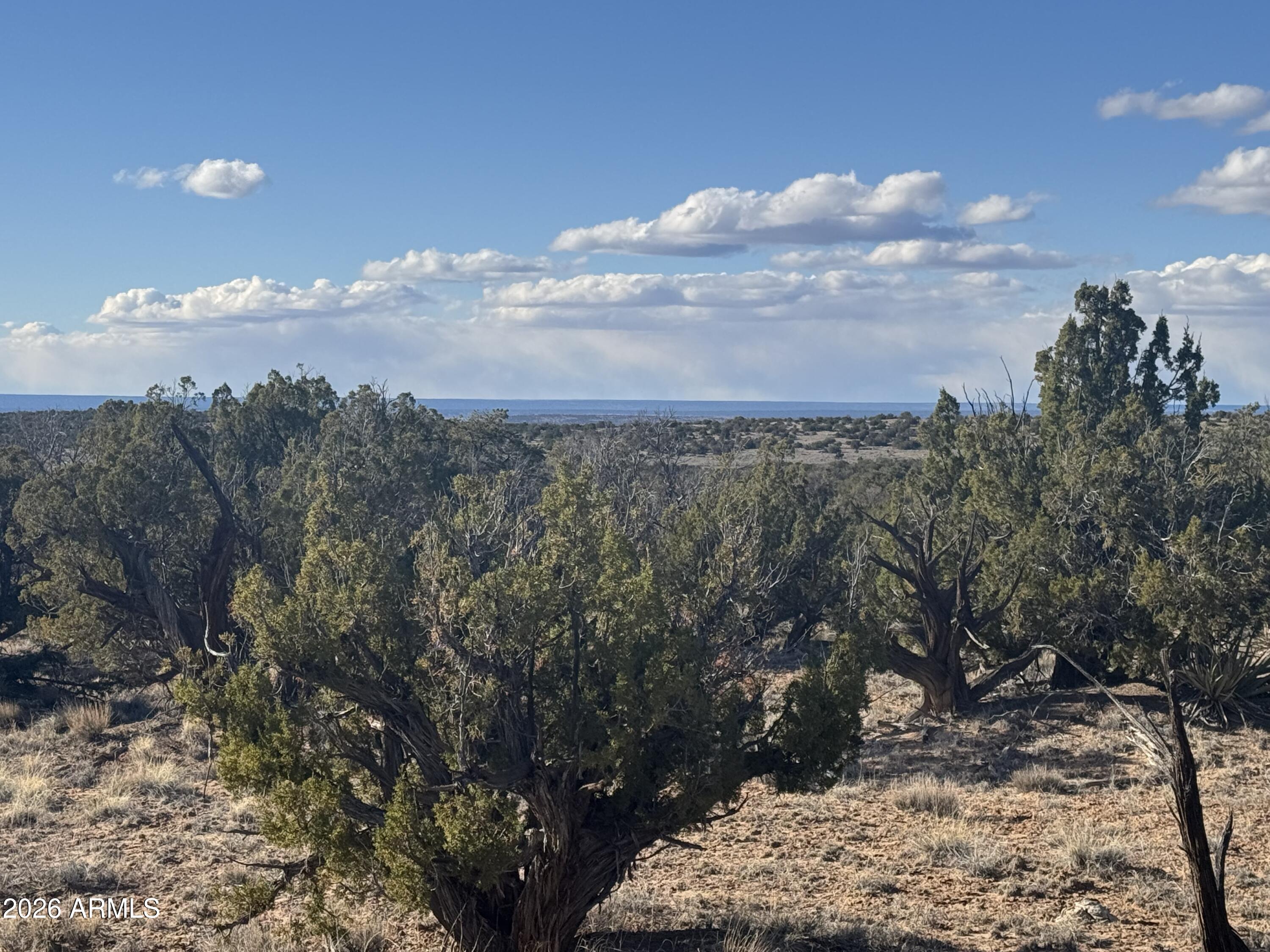 Lot 93 Red Sky Ranch, Unit 93 St. Johns, AZ 85936 - Photo 8 of 15 a view of a yard