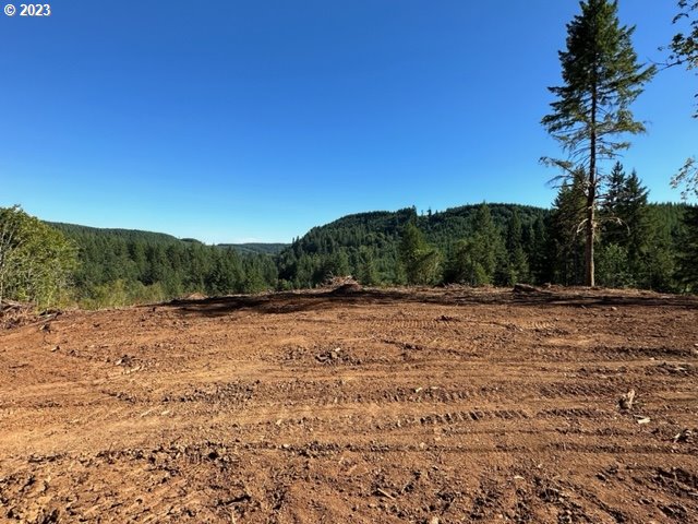 Pumpkinseed Road Willamina, OR 97396 - Photo 13 of 24 Gallery Image 13