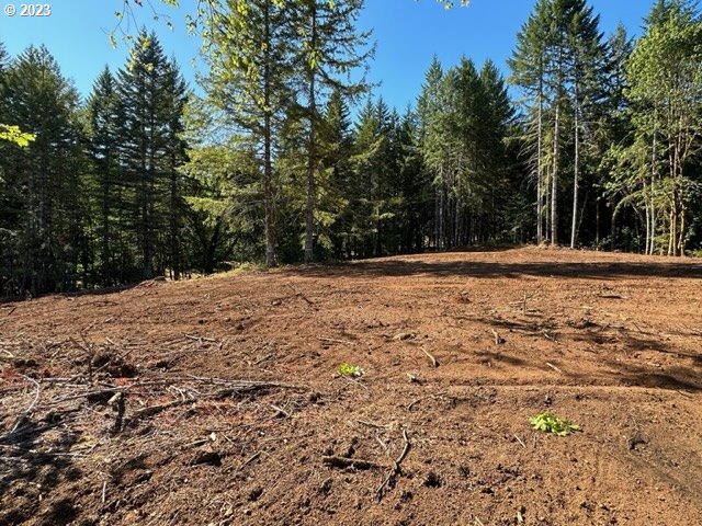 Pumpkinseed Road Willamina, OR 97396 - Photo 14 of 24 Gallery Image 14