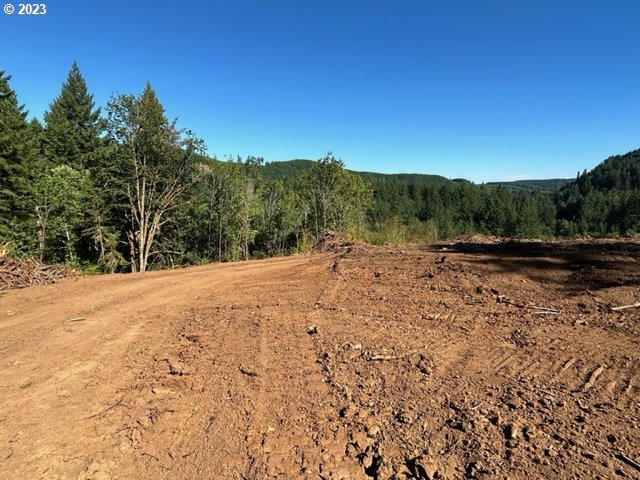 Pumpkinseed Road Willamina, OR 97396 - Photo 18 of 24 Gallery Image 18