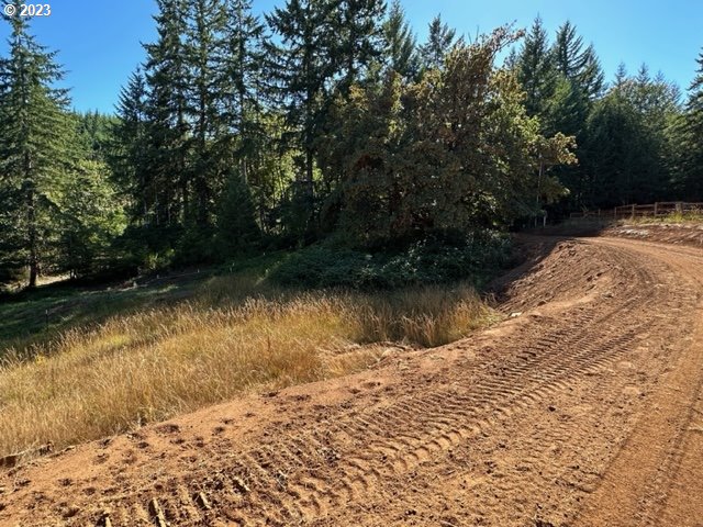 Pumpkinseed Road Willamina, OR 97396 - Photo 21 of 24 Gallery Image 21