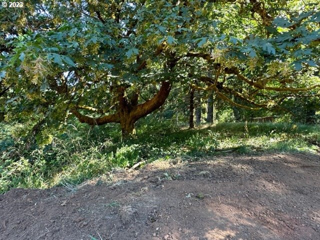 Pumpkinseed Road Willamina, OR 97396 - Photo 22 of 24 Gallery Image 22