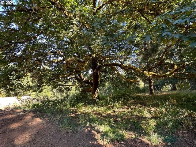 Pumpkinseed Road Willamina, OR 97396 - Photo 23 of 24 Gallery Image 23