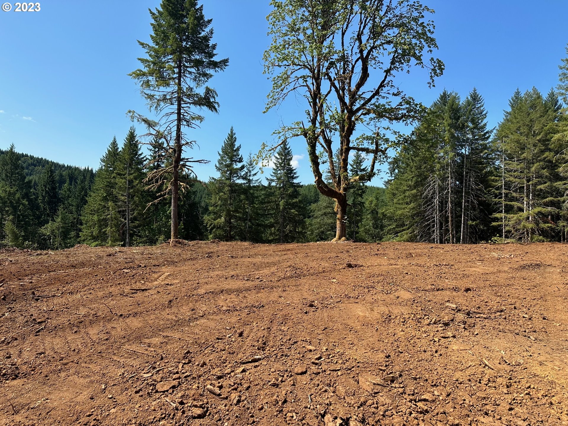 Pumpkinseed Road Willamina, OR 97396 - Photo 6 of 24 Gallery Image 6