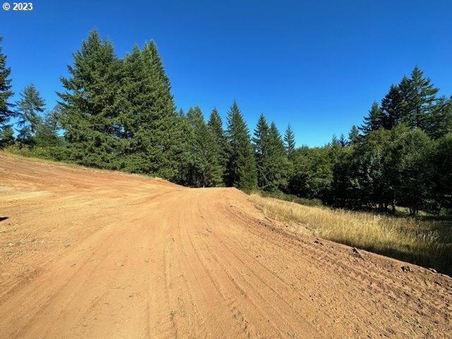 Pumpkinseed Road Willamina, OR 97396 - Photo 9 of 24 Gallery Image 9