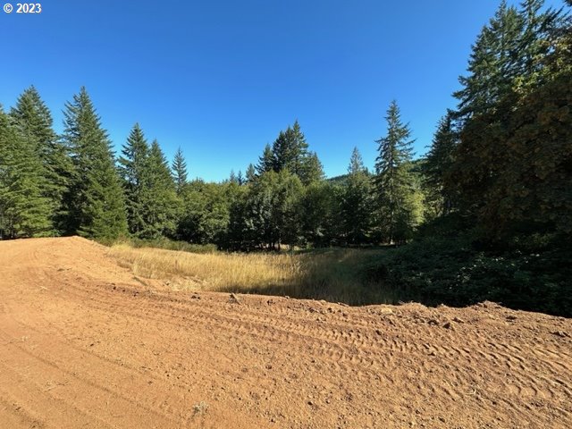 Pumpkinseed Road Willamina, OR 97396 - Photo 10 of 24 Gallery Image 10