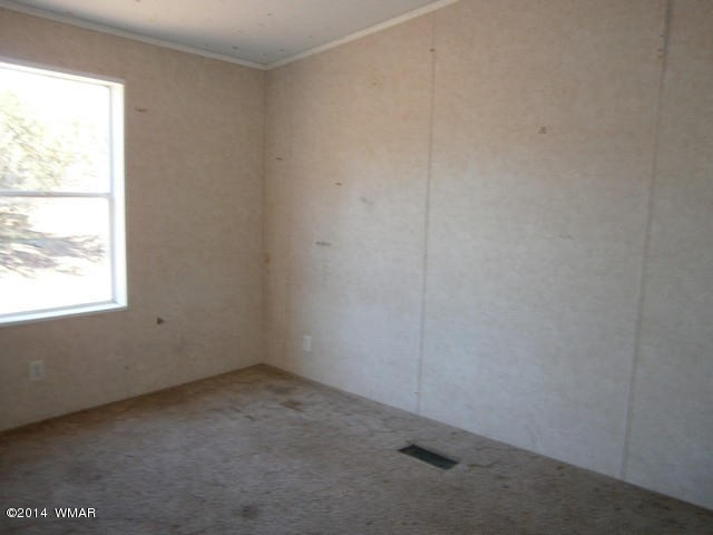 127 Apache County Road Vernon, AZ 85940 - Photo 3 of 20