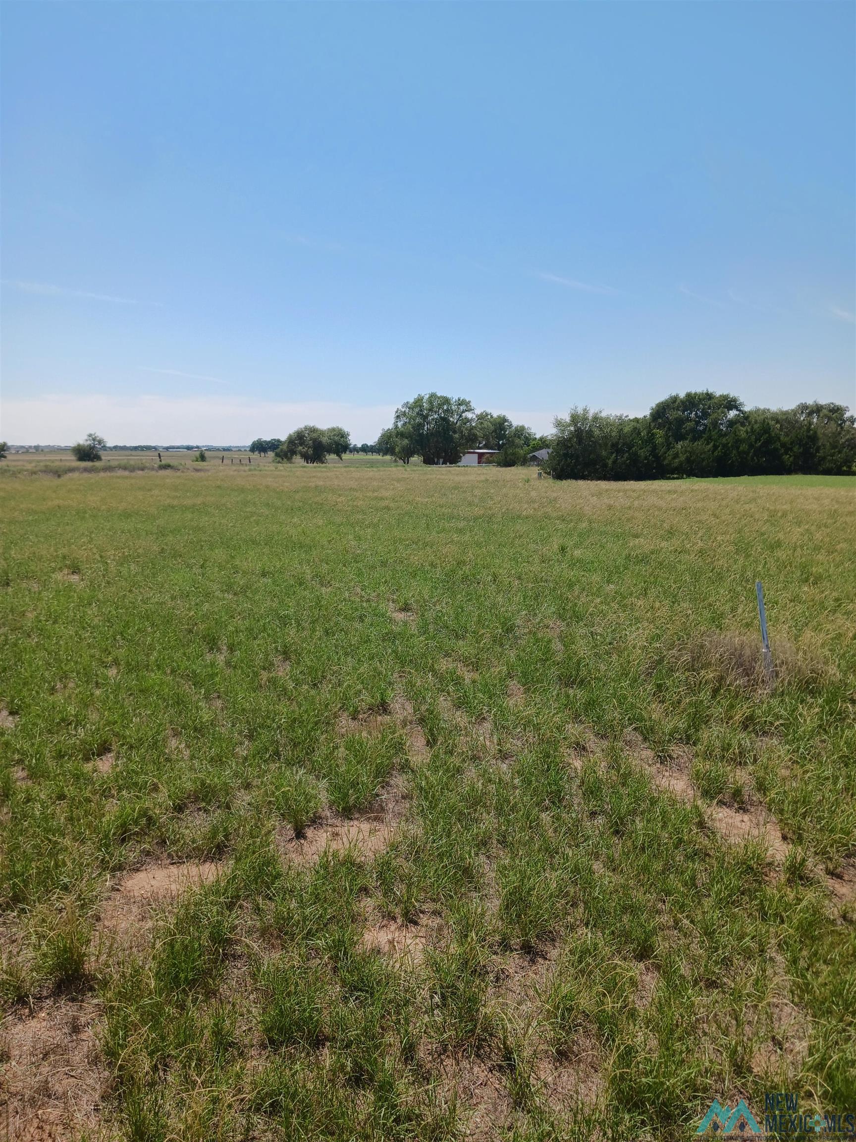 520 Baker Road Portales, NM 88130 - Photo 1 of 1 Gallery Image 1