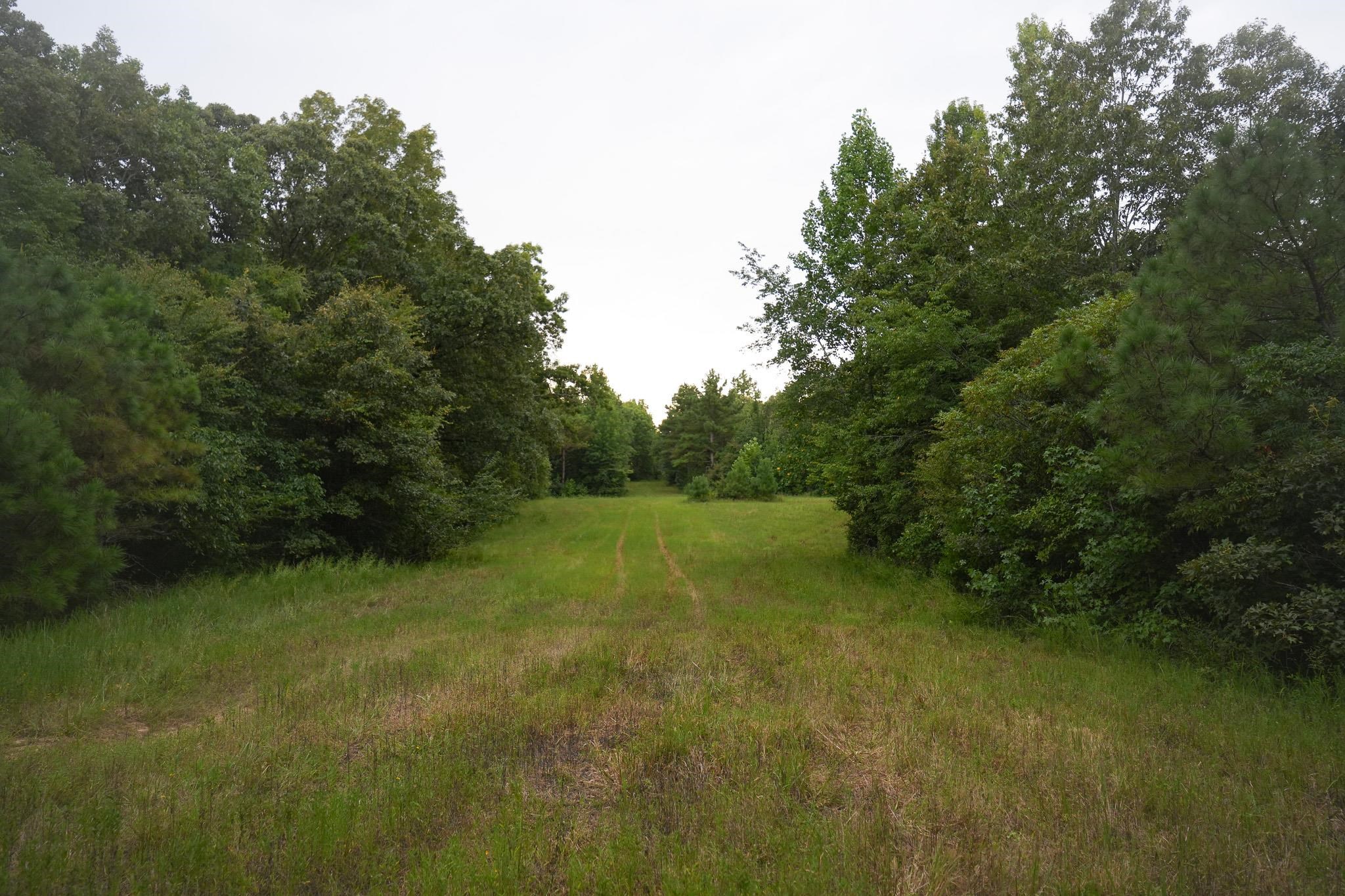 2525 Pittman Road Somerville, TN 38068 - Photo 38 of 38 Expansive grassy clearing with tire tracks, bordered by dense mature trees
