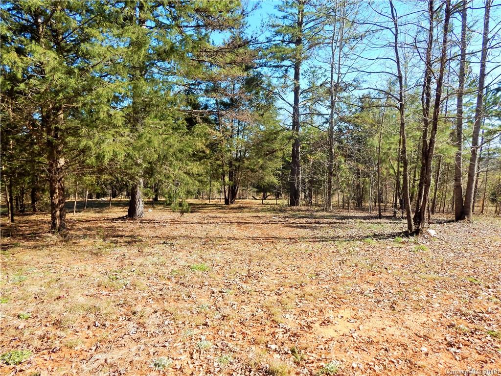 28123 Pole Running Road Mount Pleasant, NC 28124 - Photo 27 of 27 Gallery Image 27