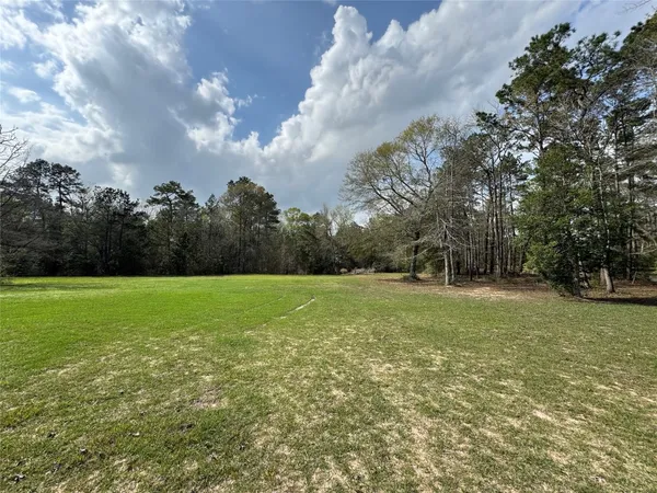 $1,300 | 23278 Morgan Cemetery Road, Splendora, TX 77372