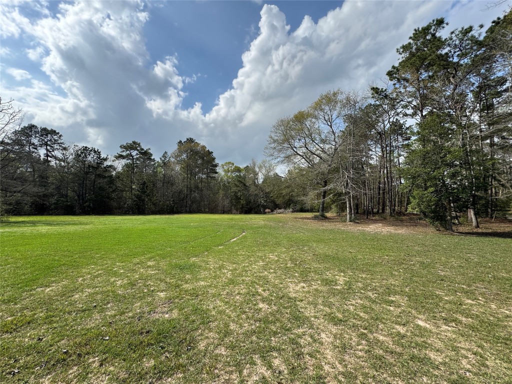 23278 Morgan Cemetery Road Splendora, TX 77372 - Photo 17 of 27 a view of field with trees in the background