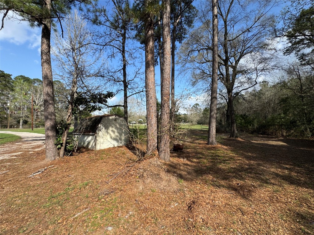 23278 Morgan Cemetery Road Splendora, TX 77372 - Photo 25 of 27 a view of a yard with trees