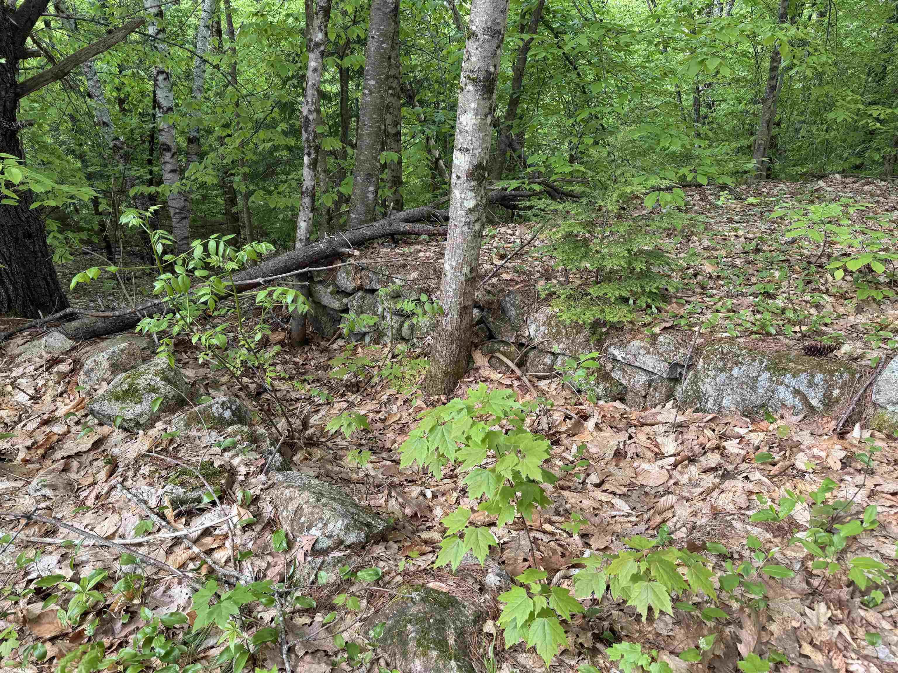 67 Old Pound Road Effingham, NH 03882 - Photo 22 of 47