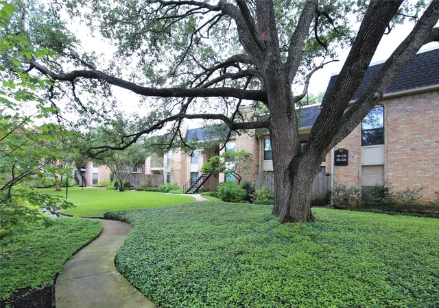 $1,595 | 1601 South Shepherd Drive, Unit 115, Houston, TX 77019