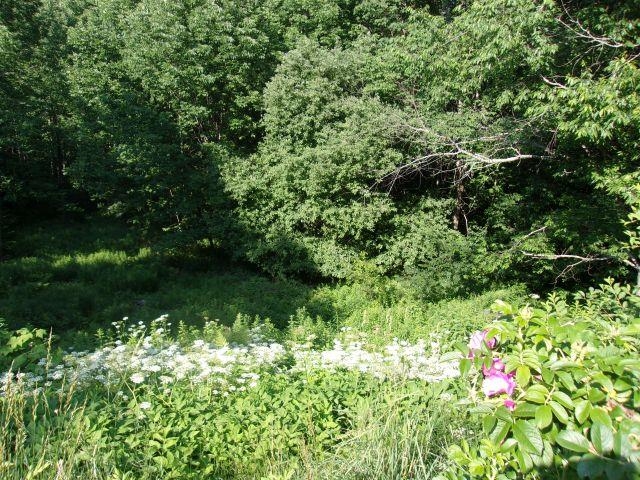 421 Bradley Hill Road Benton, NH 03785 - Photo 21 of 26