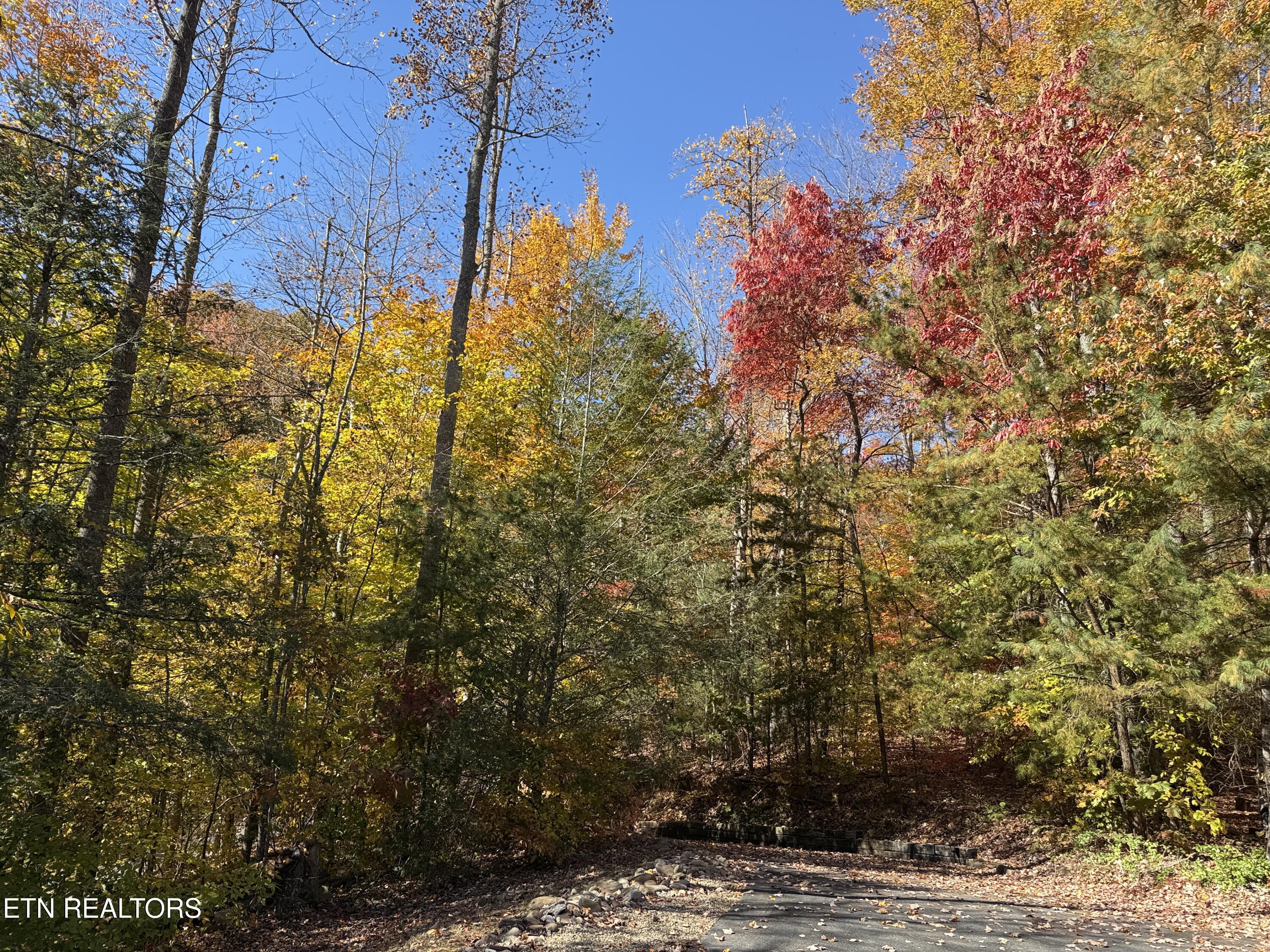 414 Gold Road Cosby, TN 37722 - Photo 52 of 58 414 Gold Rd. Fall 2025 seasonal