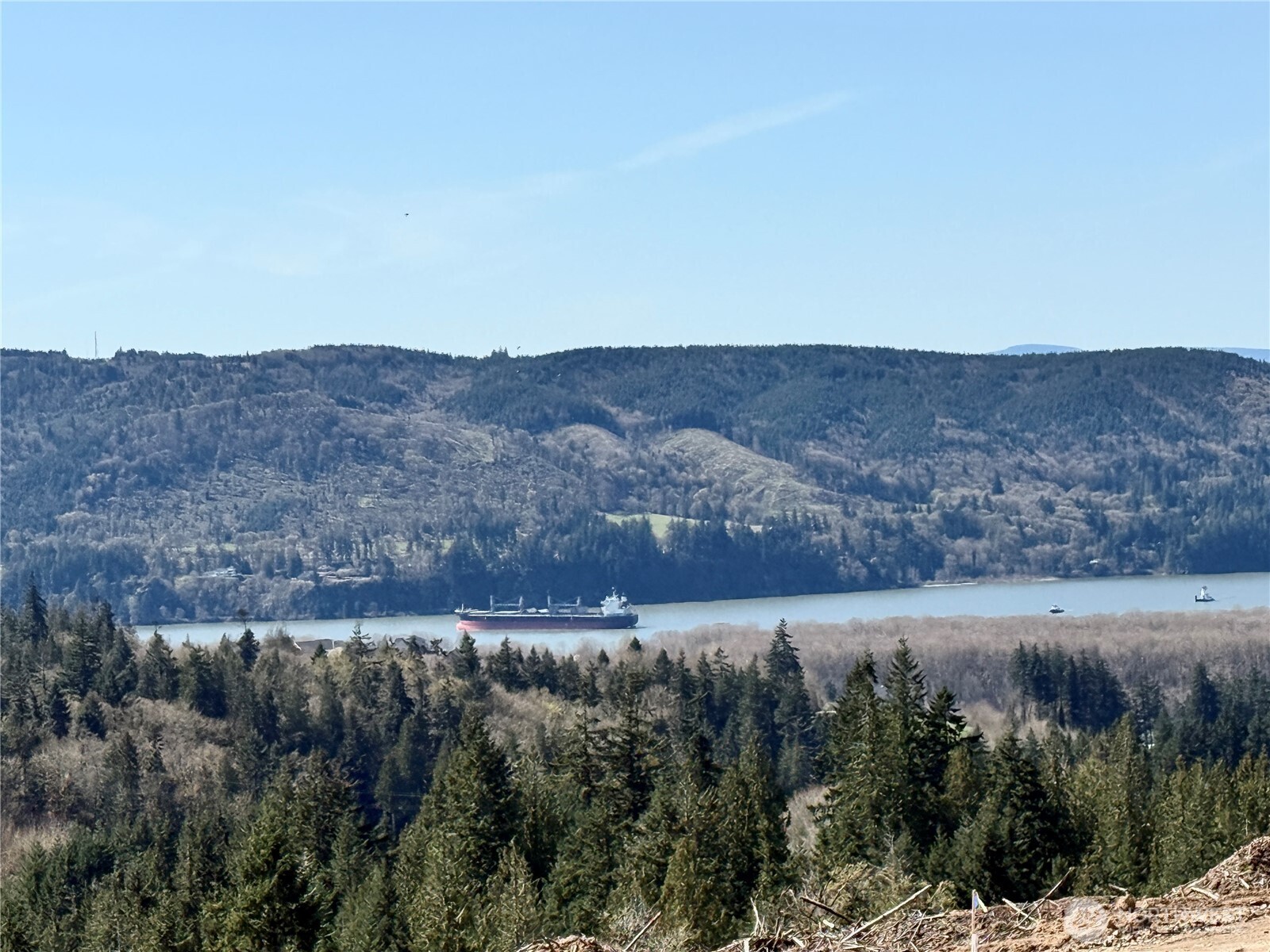 a view of a dry yard with green field and trees
