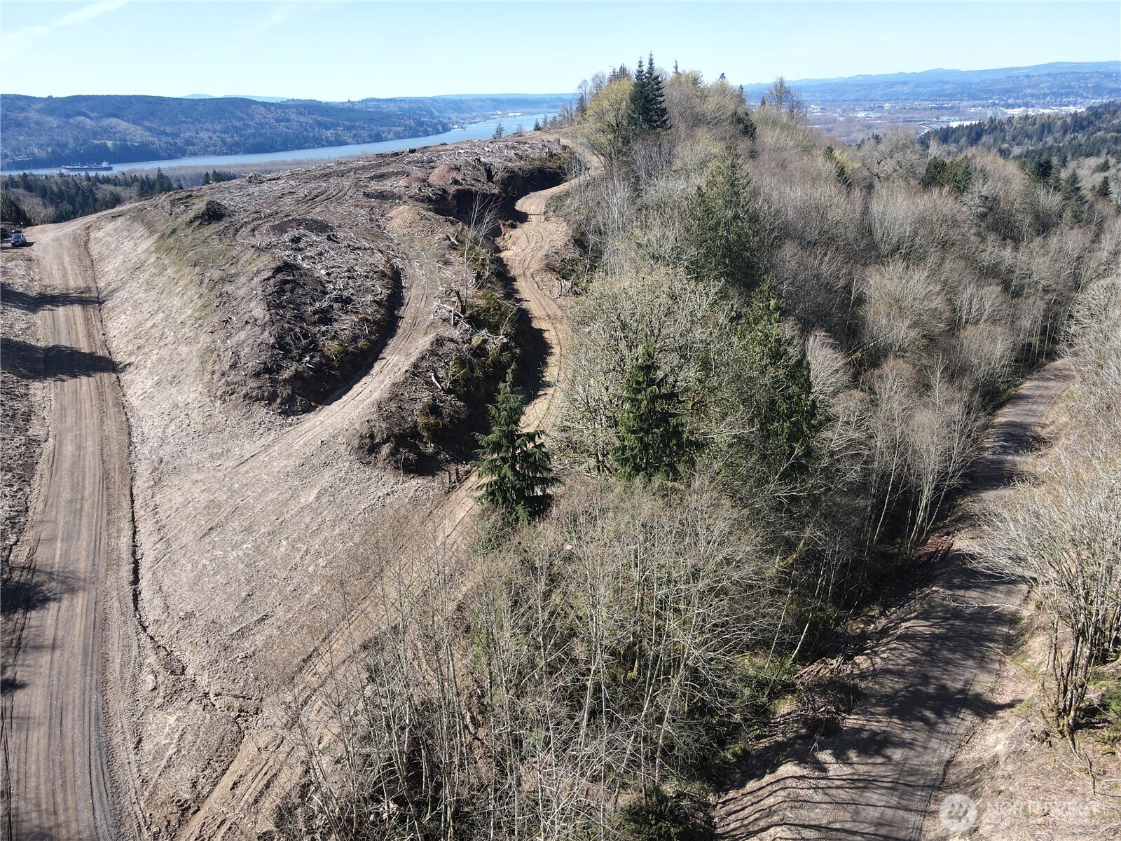 559 Kool Road Kelso, WA 98626 - Photo 12 of 30 a view of outdoor space and tree