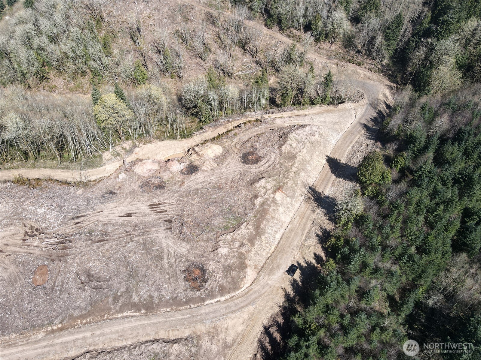 559 Kool Road Kelso, WA 98626 - Photo 13 of 30 a view of a dry yard with trees