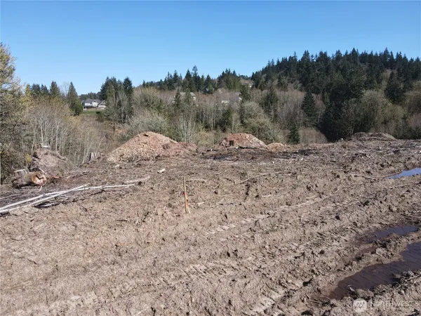 a view of a dry yard with trees in the background