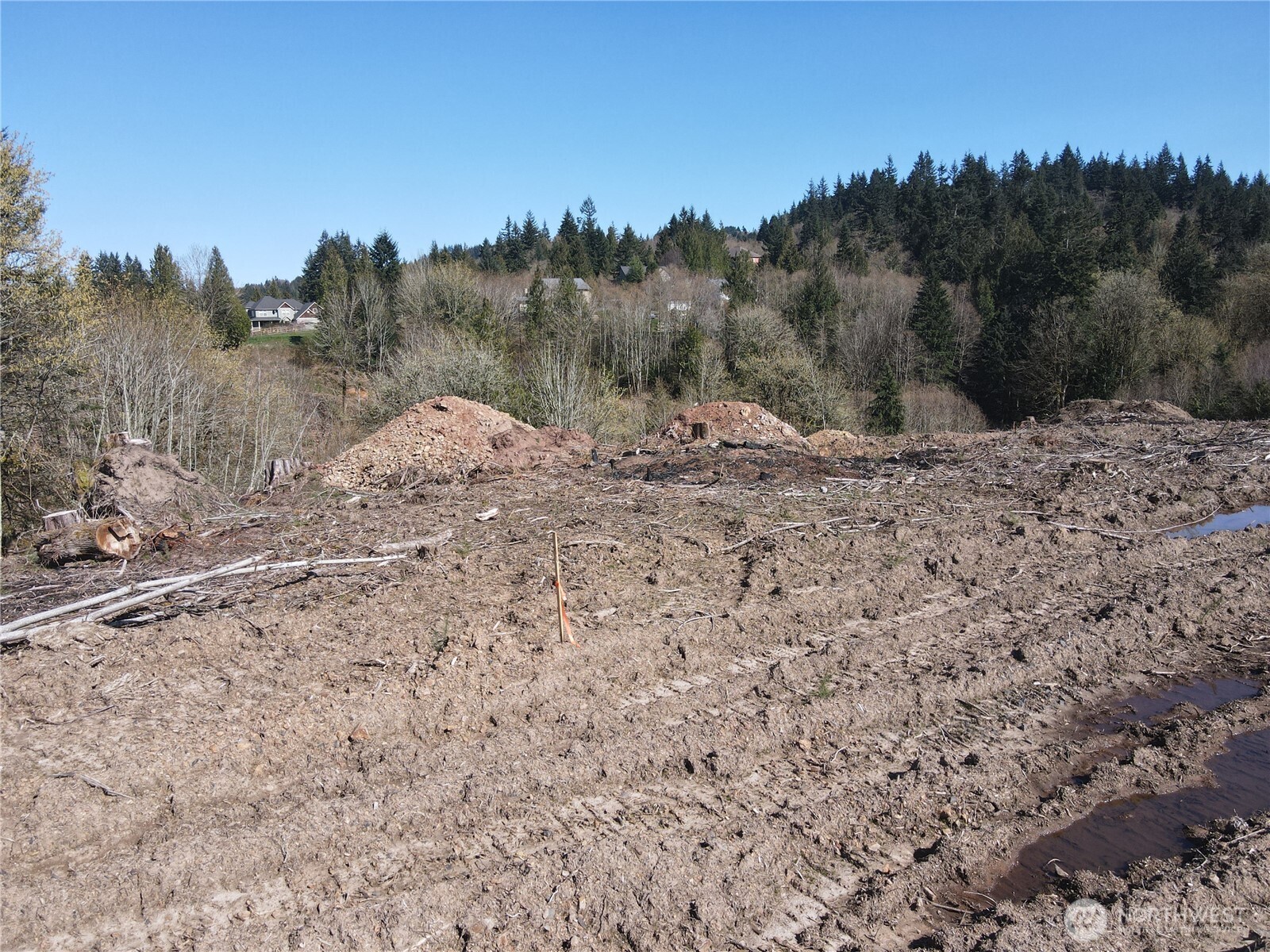 559 Kool Road Kelso, WA 98626 - Photo 14 of 30 a view of a dry yard with trees in the background