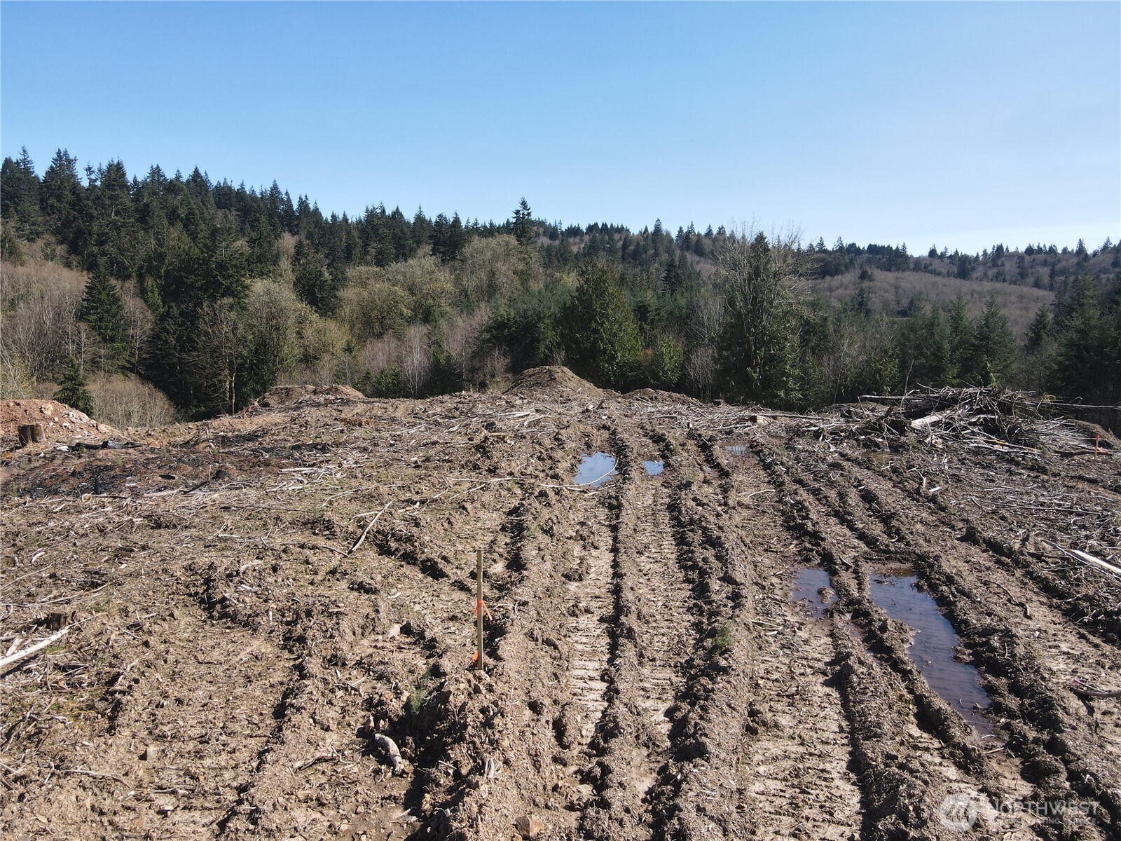 559 Kool Road Kelso, WA 98626 - Photo 15 of 30 a view of a mountain